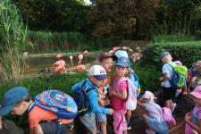Wycieczka do ZOO w Ostrawie