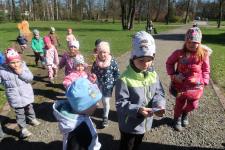 Zajączek w przedszkolu