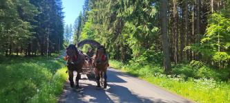 Zielone przedszkole i wycieczka do Istebnej