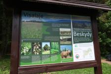 Czwarty dzień zielonego przedszkola