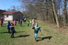 Niespodzianki od zajączka